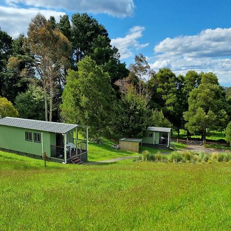 Cozy Otways Accommodation Beech Forest Extérieur photo