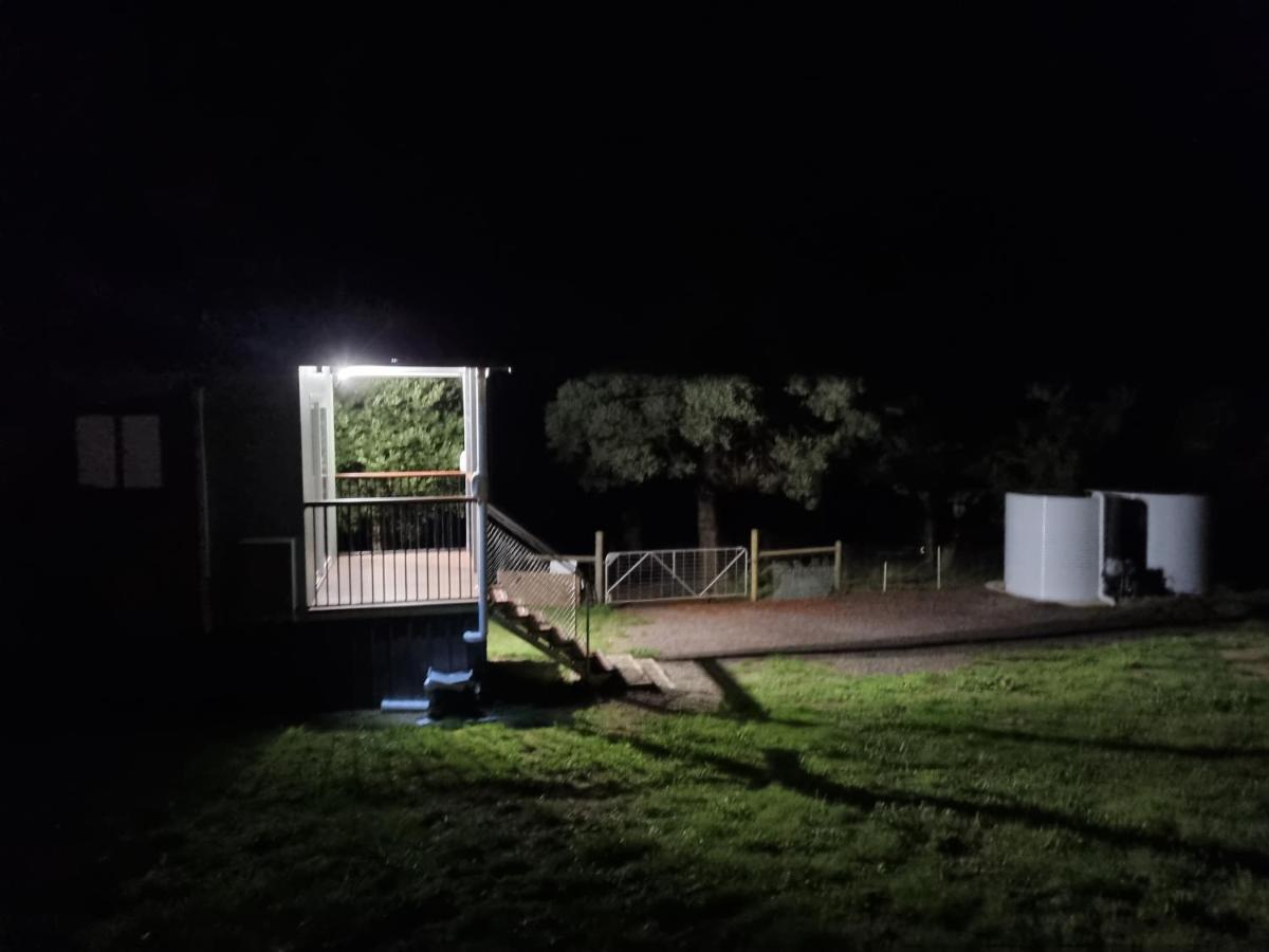 Cozy Otways Accommodation Beech Forest Extérieur photo