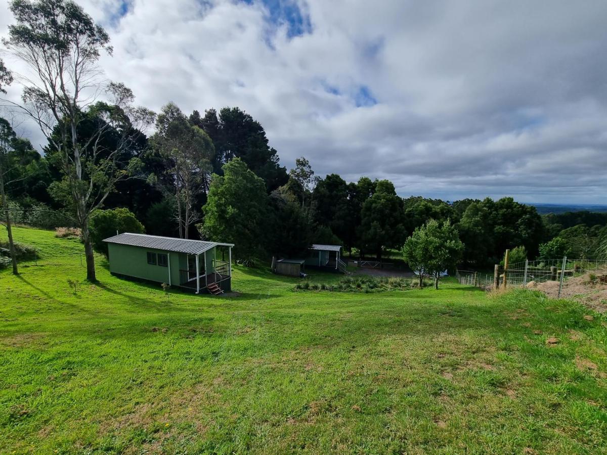 Cozy Otways Accommodation Beech Forest Extérieur photo