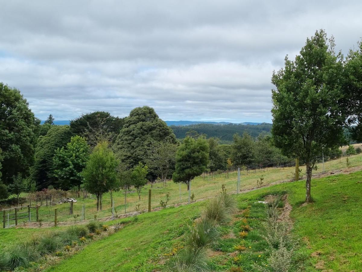 Cozy Otways Accommodation Beech Forest Extérieur photo