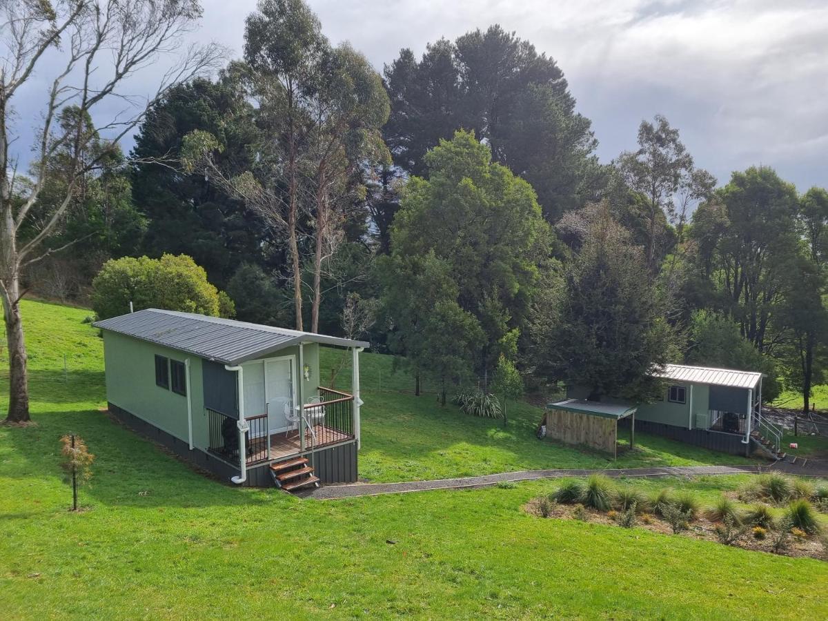 Cozy Otways Accommodation Beech Forest Extérieur photo