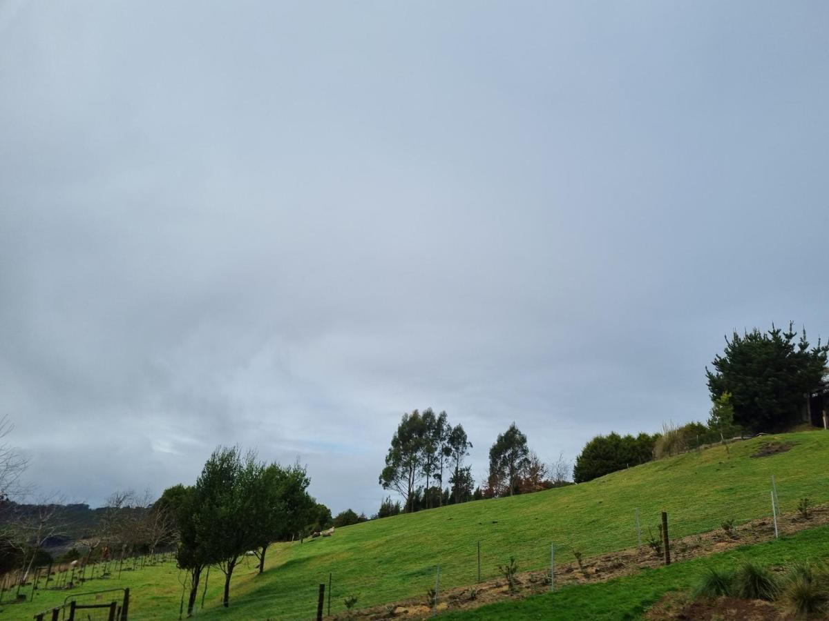 Cozy Otways Accommodation Beech Forest Extérieur photo