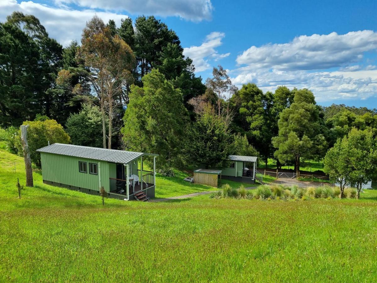 Cozy Otways Accommodation Beech Forest Extérieur photo