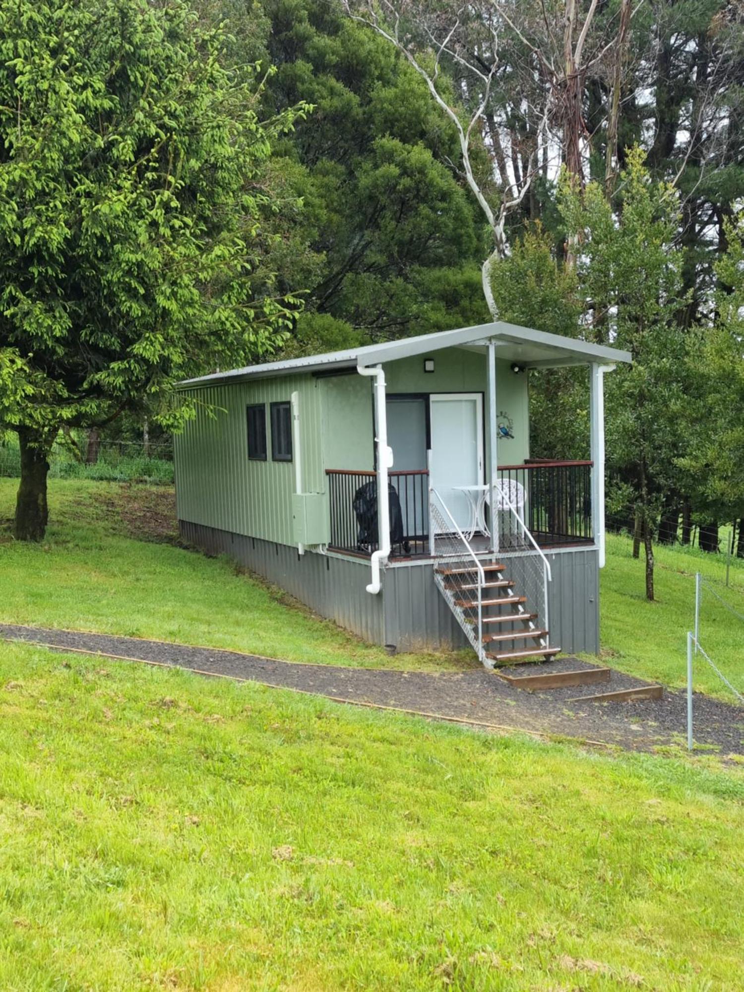 Cozy Otways Accommodation Beech Forest Chambre photo